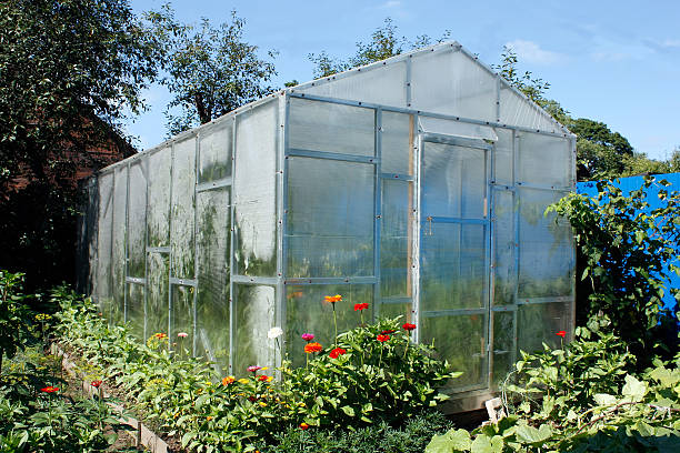 istock greenhouse for one family 177447439