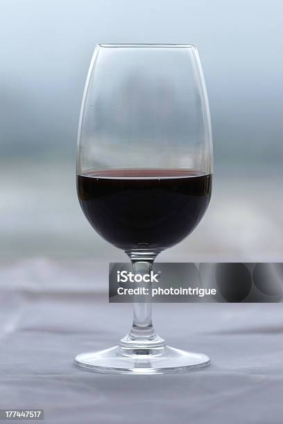 Foto de Taça De Vinho Do Porto Contra Um Fundo Cinza E Tons Suaves De Verde e mais fotos de stock de Copo