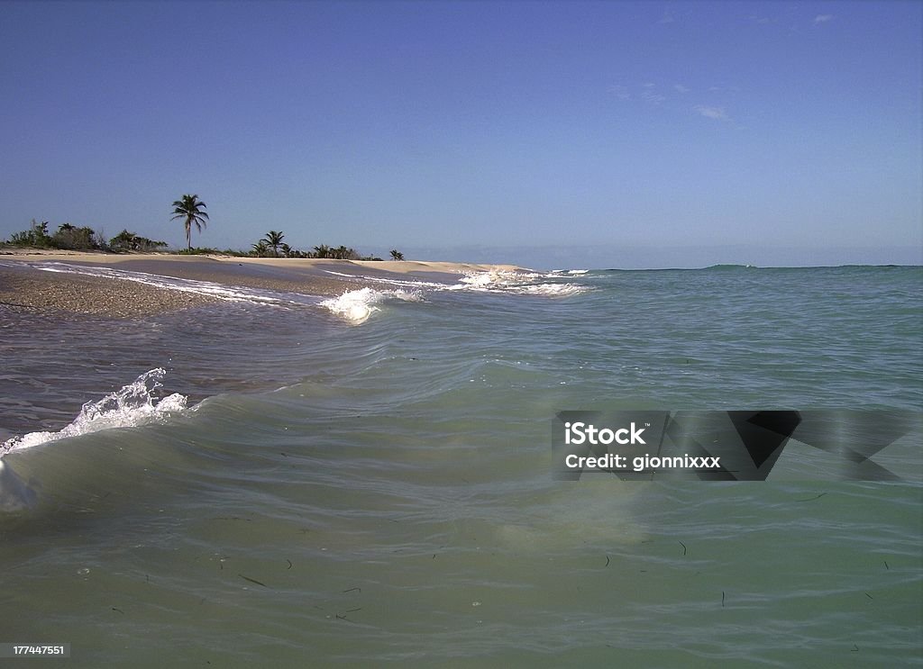 Riserva della biosfera Sian Ka'an, Quintana Roo, Messico - Foto stock royalty-free di Alta marea