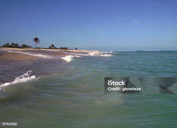 Riserva Della Biosfera Sian Kaan Quintana Roo Messico - Fotografie stock e altre immagini di Alta marea