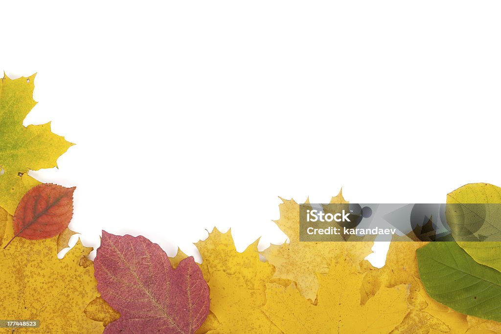 Marco de hojas de otoño - Foto de stock de Abstracto libre de derechos
