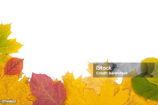 Folhas De Outono Armação - Fotografias de stock e mais imagens de Abstrato - Abstrato, Amarelo, Ao Ar Livre