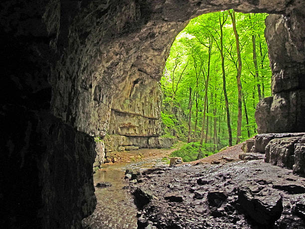 caverna "falkensteiner", montanhas suábias, alemanha - montanhas suábias - fotografias e filmes do acervo