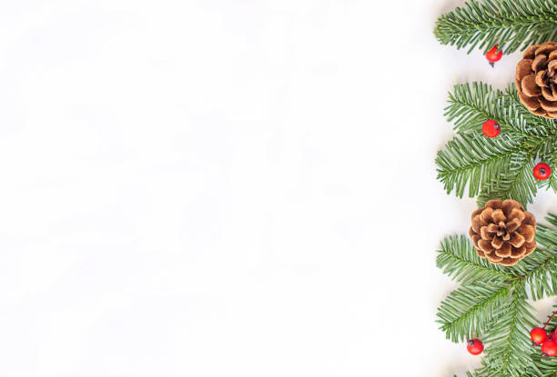 istock Christmas flat lay composition. Green branches with red berries and brown cones on white background. 1774496341