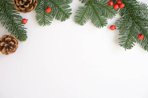 istock Christmas background. Green branches with red berries and brown cones. 1774496889