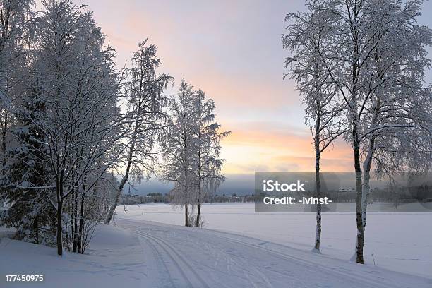 Winterlandschaft In Kuusamo Finnland Stockfoto und mehr Bilder von Baum - Baum, Europa - Kontinent, Finnland