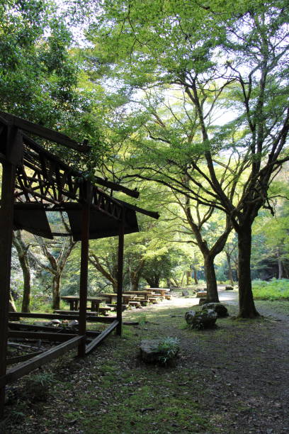 istock Hiking along the Kiyotaki river, resting spot 1774513201