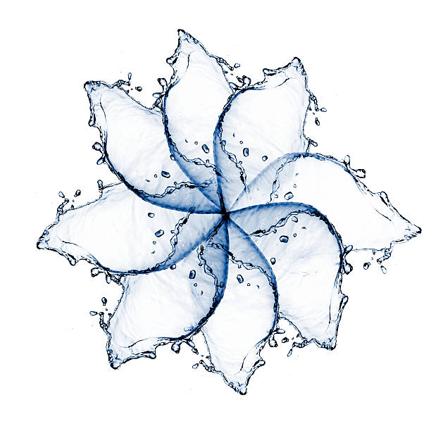 istock flower made of water splash 177451739