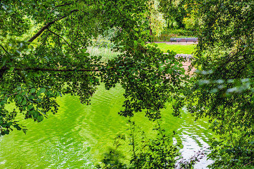 The river and small temple inside Querini park in Vicenza, Italy