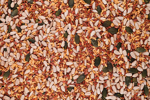 flax seeds, sunflower seeds, sesame, chia and pumpkin seeds