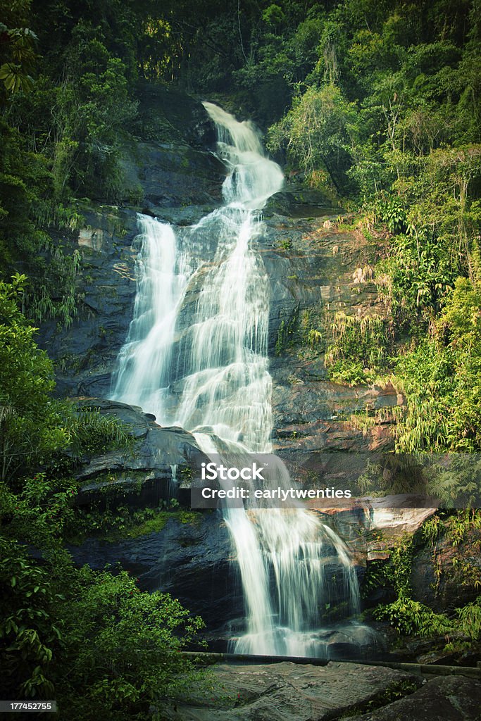 Waterfall in the middle of a rainforest Waterfall in Tijuca National Park in Rio de Janeiro, Brazil Tijuca National Park Stock Photo