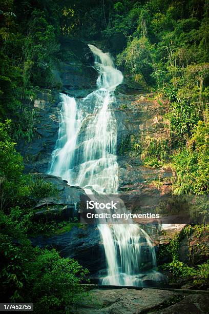 Waterfall In The Middle Of A Rainforest Stock Photo - Download Image Now - Tijuca National Park, Beauty In Nature, Blurred Motion