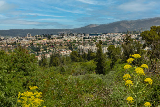 istock Beit Shemesh cityscape, Israel 1774527912