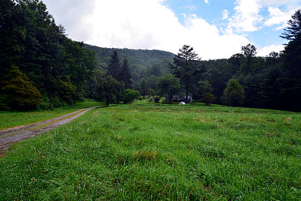 istock House in green field 177453028