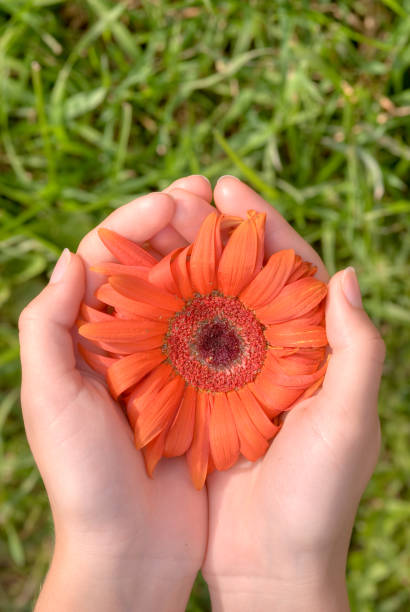 istock Gift of the nature 1774534495