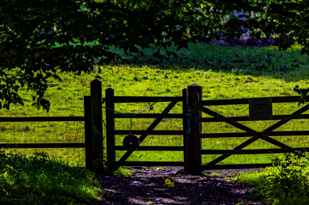 istock summer flower walled garden colourful botanical horticultural border 1774543300
