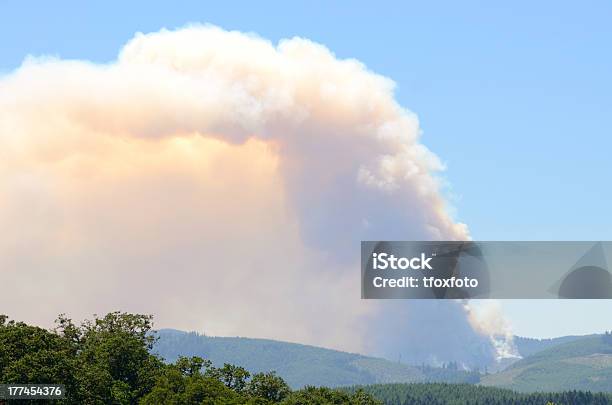 Barra Di Fuoco - Fotografie stock e altre immagini di Albero - Albero, Ambientazione esterna, Ambiente