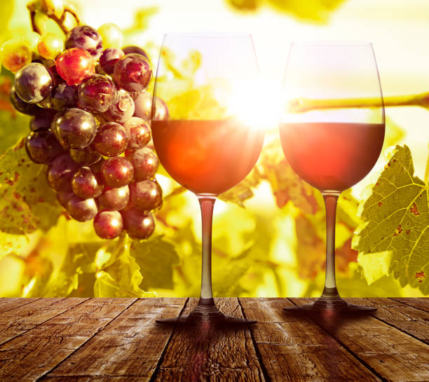istock Grapes on the vine with red wine glass 1774543793