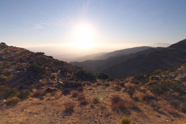 istock IMG_4476 LIght flares and colours, Joshua Tree 1774546286