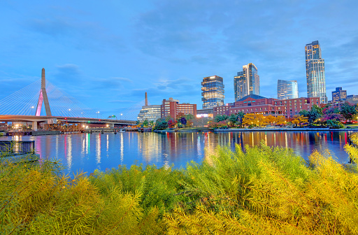 The  Leonard P. Zakim Bunker Hill Memorial Bridge is a cable-stayed bridge  across the Charles River in Boston. The bridge and connecting tunnel were built as part of the Big Dig, the largest highway construction project in the United States