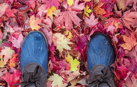 Contrasting scene with shoes and fallen leaves.