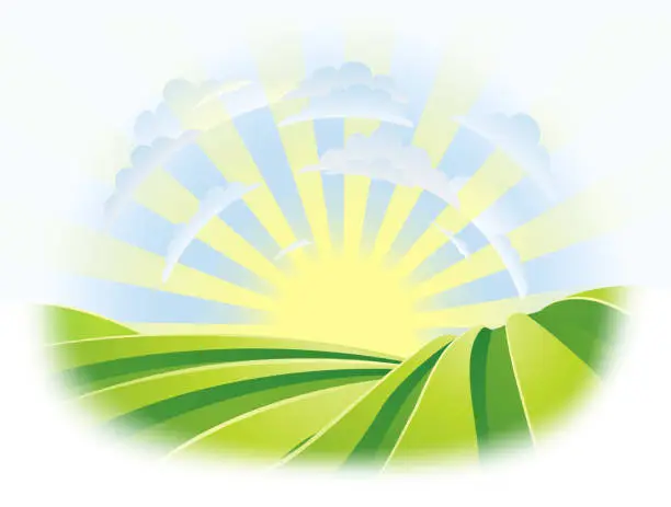 Vector illustration of Rolling Hills Field Sunrise Sky Farm Landscape