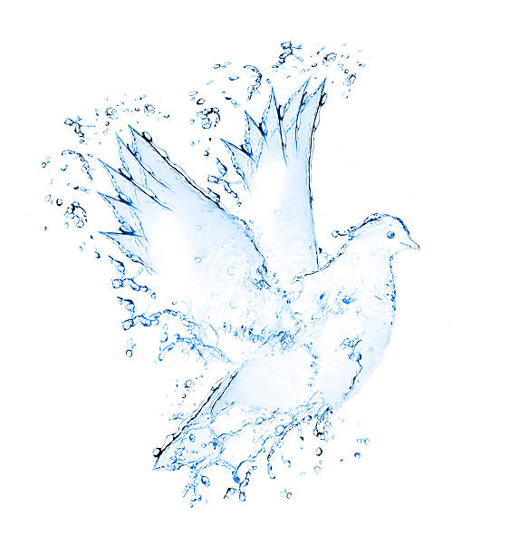 istock dove made out of water splashes 177455358