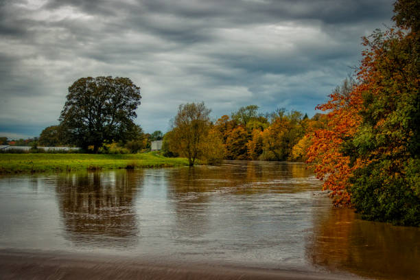 The River Tees in flood at Broken Scar Darlington on an Autumn day with colourful leaves on the trees reflected in the water.