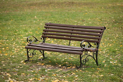 An empty sitting bench stands on the lawn in an autumn park. A place to rest on the road for the elderly and tired. Relaxation and urban infrastructure for rest. Product made of wood and metal