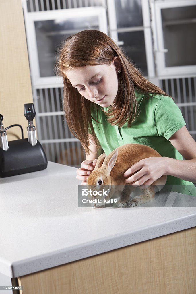 Bambina al veterinario con animali domestici coniglio clinica - Foto stock royalty-free di 10-11 anni