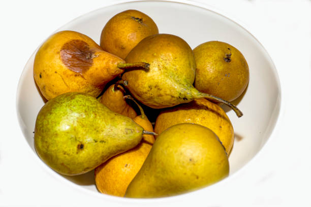 istock Pears in bowl, isolated on white background. Top view. 1774559445