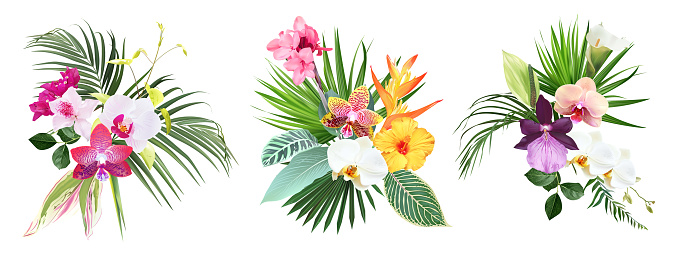 Pink canna flower, white and striped orchid, calla lily, yellow bird of paradise, tropical leaves design vector bouquets. Exotic jungle plants. Wedding arrangements. Elements are isolated and editable