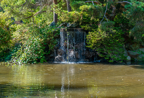 A view of a waterfall at Point Defiances Park in Tacoma, Washington.