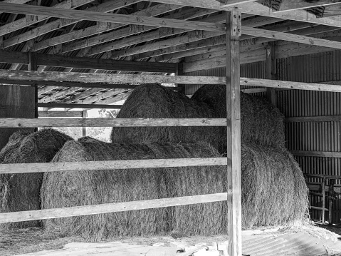 Barn full of hay bale rolls with a fence in the foreground and a window in the background in monochrome.