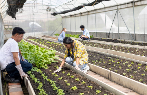 istock Happiness children study learning to prepare the soil before planting vegetables. 1774611236