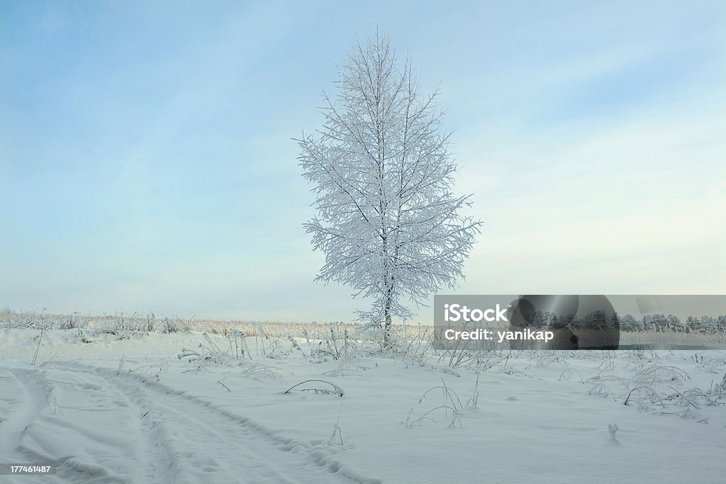 Paysage d'hiver avec un arbre - Photo de Arbre libre de droits