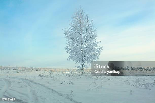 Foto de Paisagem Do Inverno Com Árvores e mais fotos de stock de Azul - Azul, Beleza natural - Natureza, Bétula