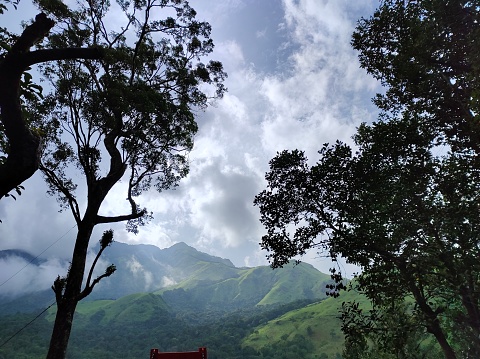 View of lush forested mountain, Waynad