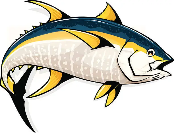 Vector illustration of yellowfin tuna