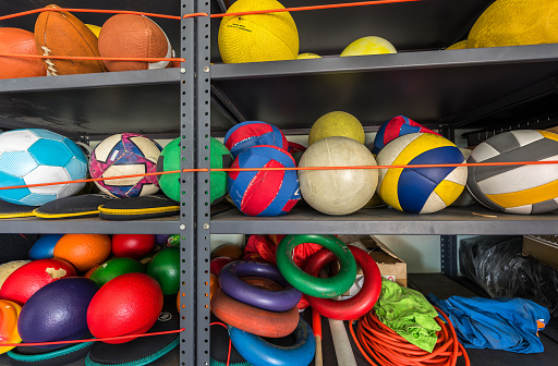 Colorful shelf full of balls from different sports.