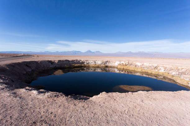 istock View of Chaxa lagoon 1774638820