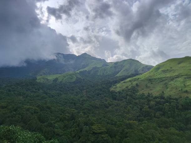 istock Landscape of green mountain, waynad 1774655795