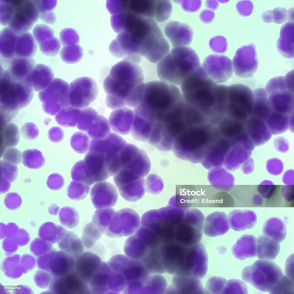 Células de bacterias - Foto de stock de Aumento a gran escala libre de derechos