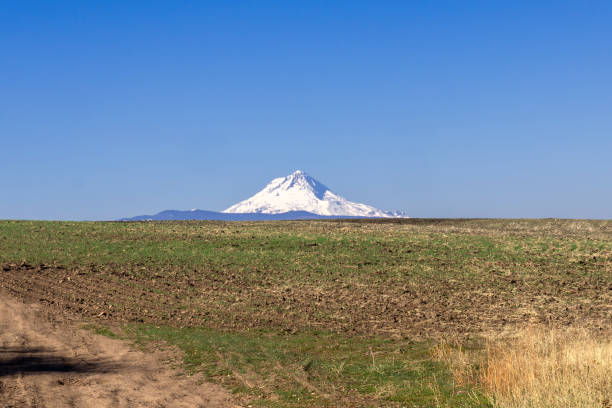 istock Scenery landscape along US Highway 197 and 26 in Oregon 1774663926