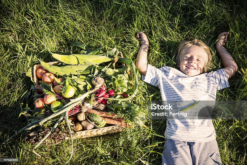 Petit garçon allongé au bord d'un panier de légumes - Photo de 4-5 ans libre de droits