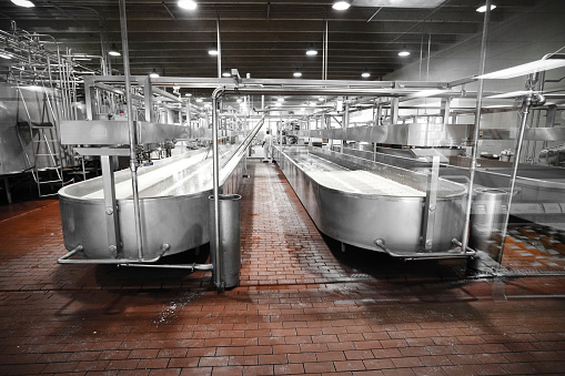 inside a cheese manufacturing plant