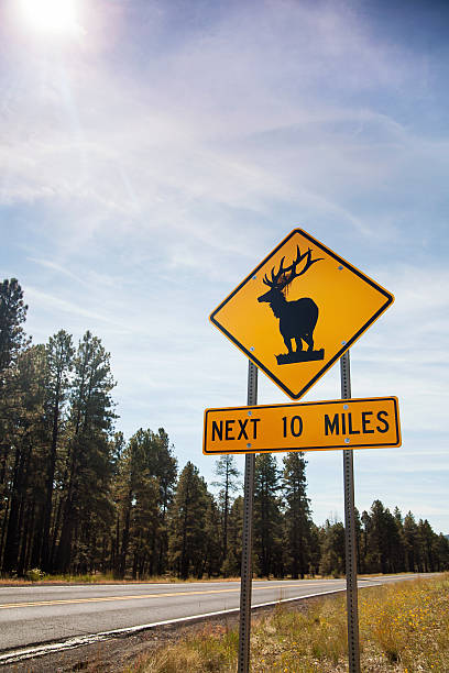 Deer Road Warning Sign. Next 10 miles.