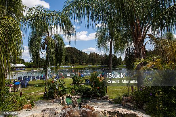 Warm Mineral Springs In North Port Florida Stock Photo - Download Image Now - Mineral, Heat - Temperature, Alternative Therapy