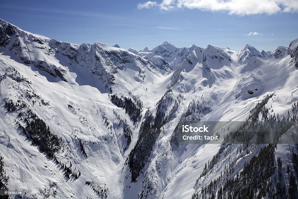 На Горы Монаши Британская Колумбия, Канада - Стоковые фото Extreme Skiing роялти-фри