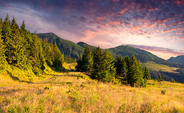 istock Colorful autumn landscape in the mountains 177471158